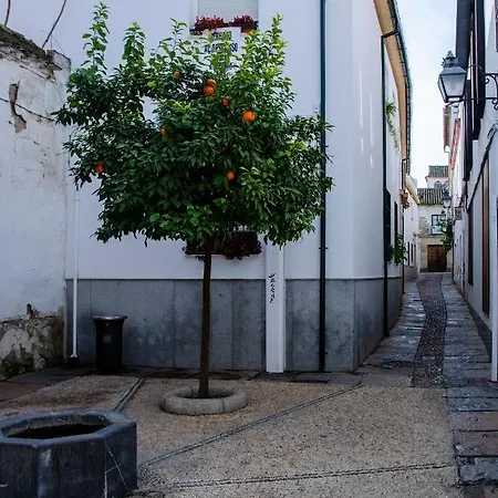 Mezquita Apart. With Free Parking