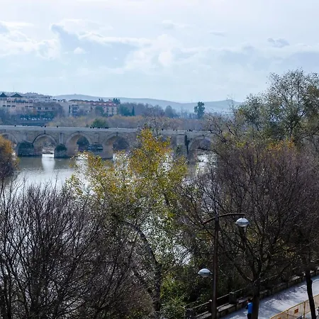 Mezquita Apart. With Free Parking Apartment Cordoba