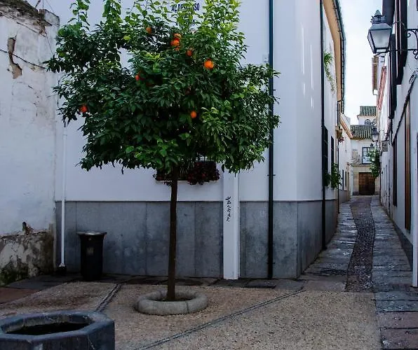 Mezquita Apart. With Free Parking